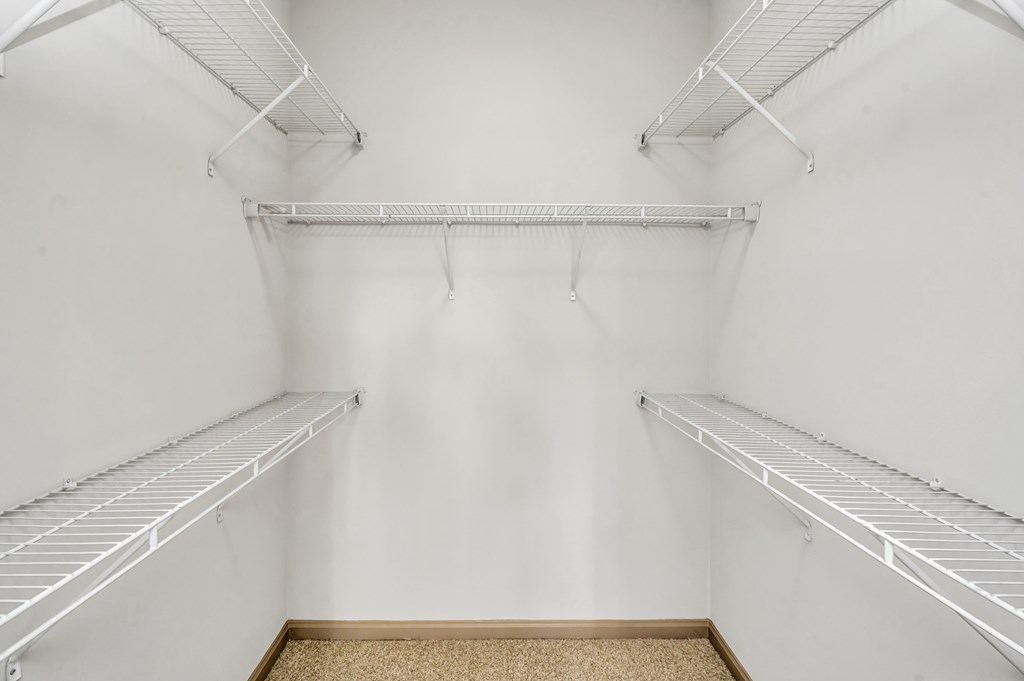 Empty white pantry with shelves and a carpeted floor.